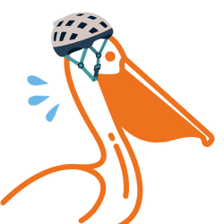 PeliPath Engine Processing